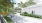 a group of people walking on a stone path with palm trees